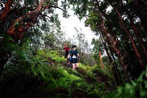 BIB: 
                            <button type="button" onclick="openModal(26203547)" class="btn btn-primary btn-sm float-right btn-popup" data-toggle="modal" data-target=".modal-high-quality">
                        <i class="fas fa-shopping-cart"></i> Add to Cart
                    </button>
                                            <button type="button" onclick="isThisMe(26203547, true)" class="btn btn-success btn-sm float-right btn-popup btn-isme hidden" data-toggle="tooltip" data-placement="bottom" title="นี่คือรูปของคุณใช่ไหม คลิกที่นี่เพื่อเอาเข้าอัลบั้ม">
                        <i class="fas fa-plus"></i> Add to album
                    </button>
                    <button type="button" onclick="isThisMe(26203547, false)" class="btn btn-warning btn-sm float-right btn-popup btn-isnotme hidden">
                        <i class="fas fa-ban"></i> Remove from album
                    </button>